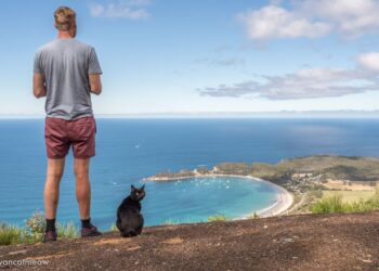 How one man travels Australia with his cat