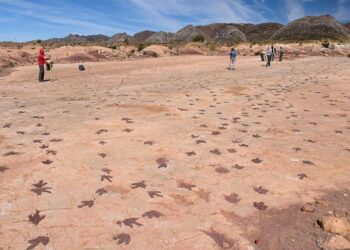 The real life Jurassic Park