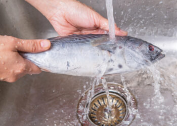 Cleaning and scaling a fish efficiently and quickly